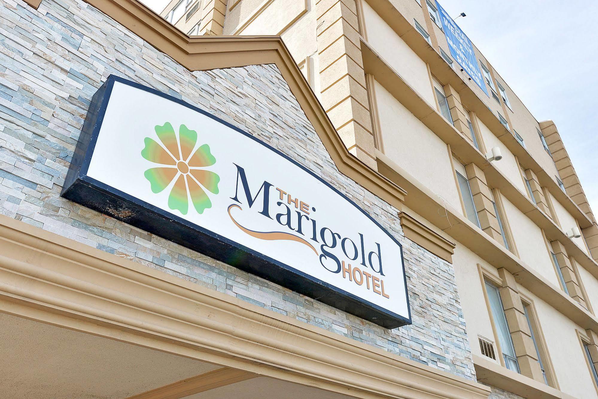 The Marigold Hotel Brampton Bagian luar foto
